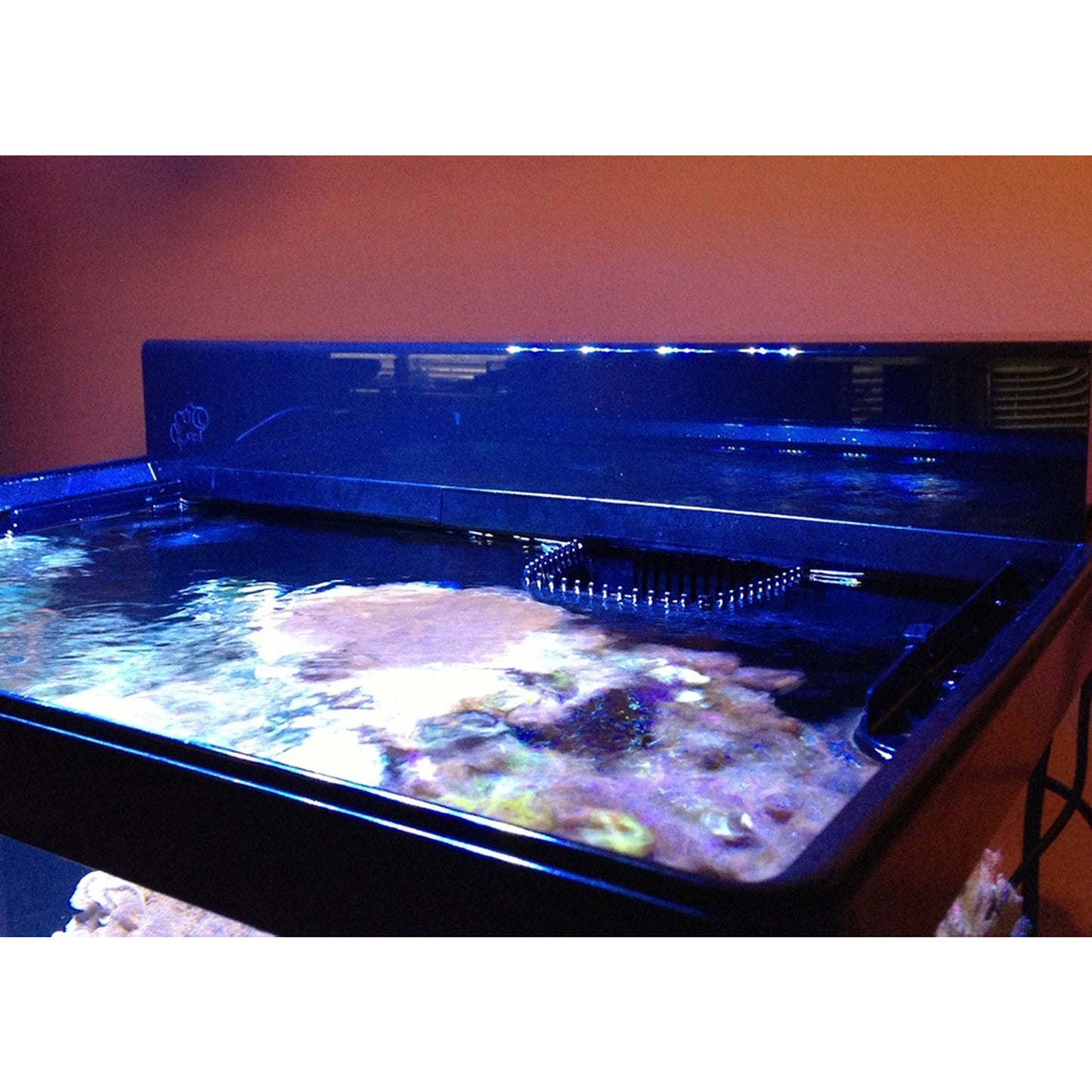 inTank FILTRATION COVER FOR RED SEA MAX 130 | 130D and RED SEA MAX C-130