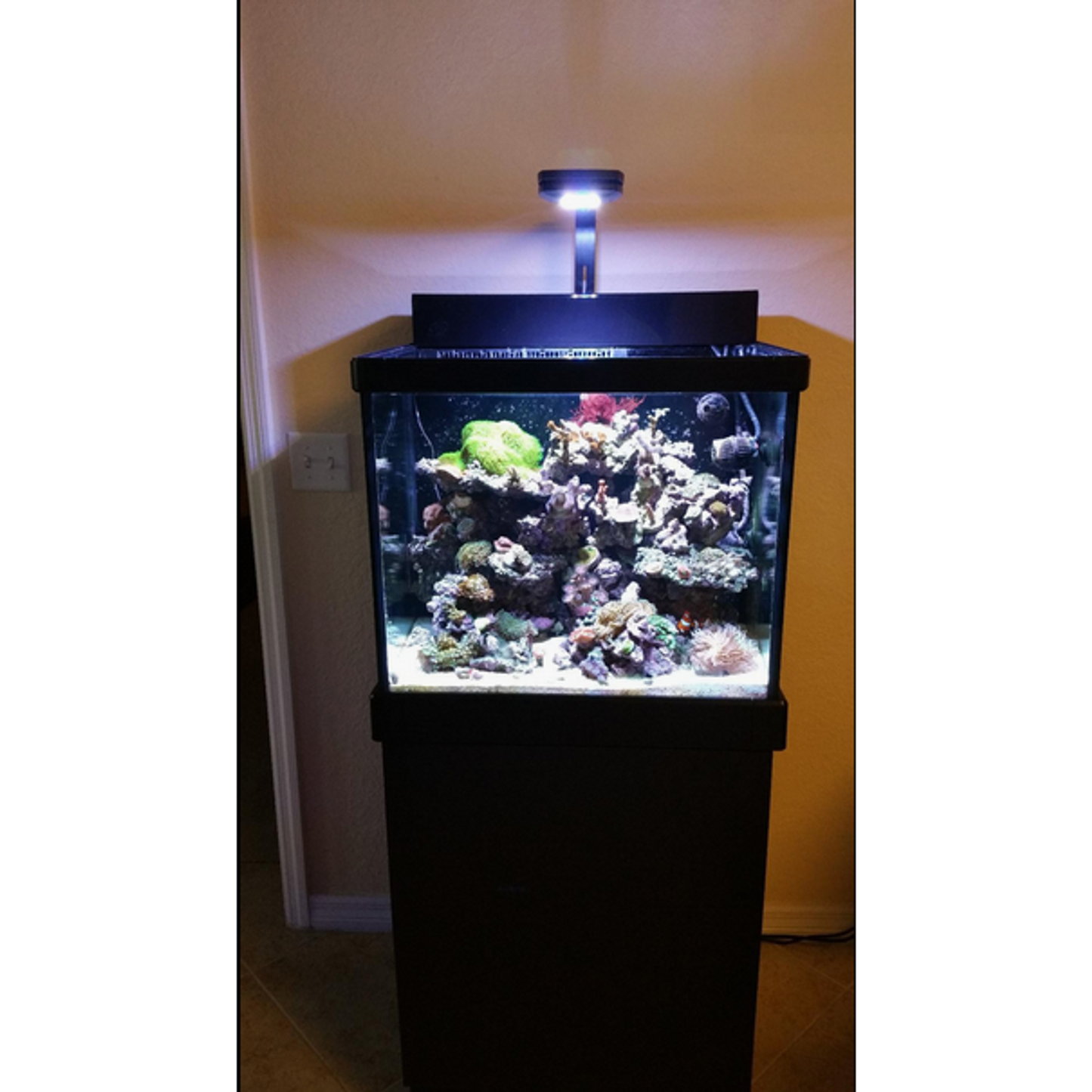 inTank FILTRATION COVER FOR RED SEA MAX 130 | 130D and RED SEA MAX C-130