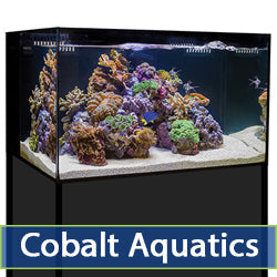 Cobalt Aquatics Catalog