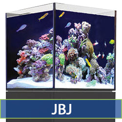 JBJ Catalog
