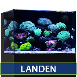 LANDEN Catalog