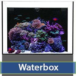 Waterbox Catalog